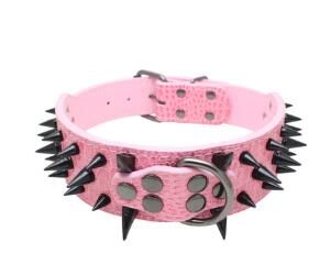 Spiked Studded Leather Collars.