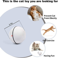 Smart Interactive Pet Ball.