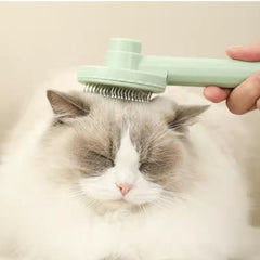 Cat Grooming Brush.