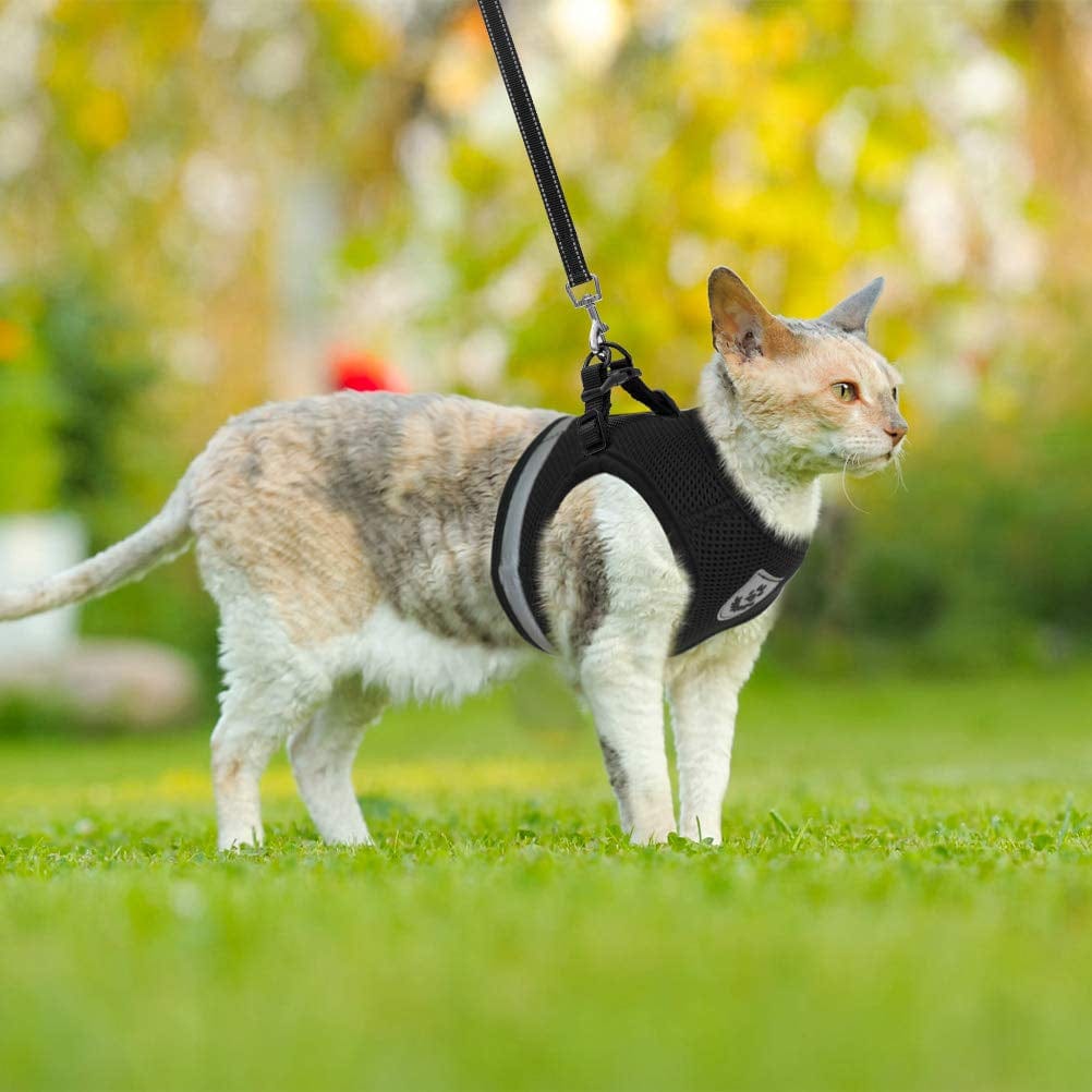 Cozy Cat Harness.