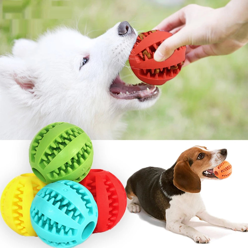 Dog Chew Toy.