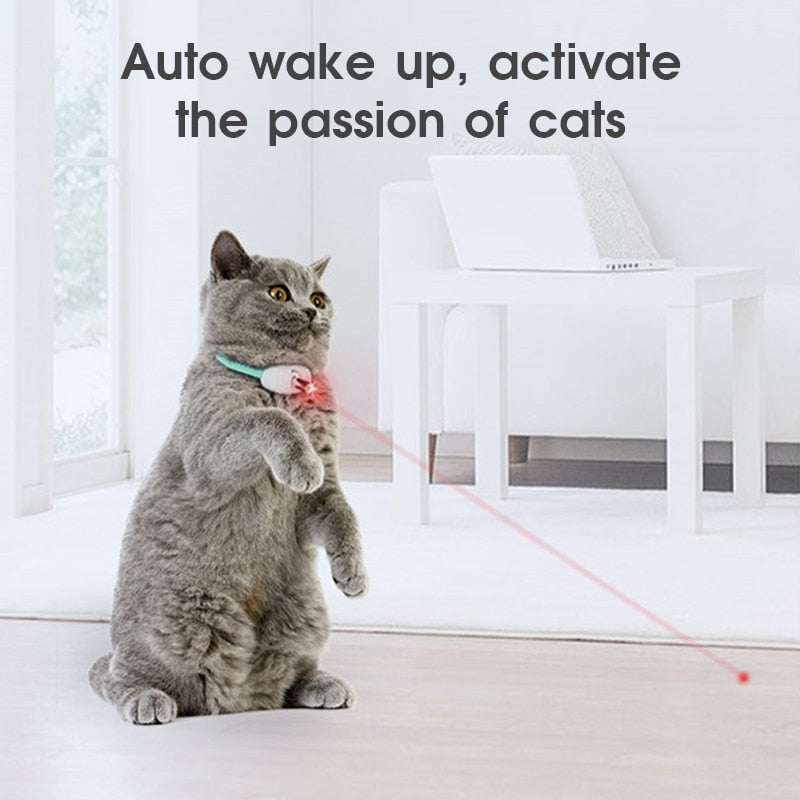 Automatic Cat Laser Toy.