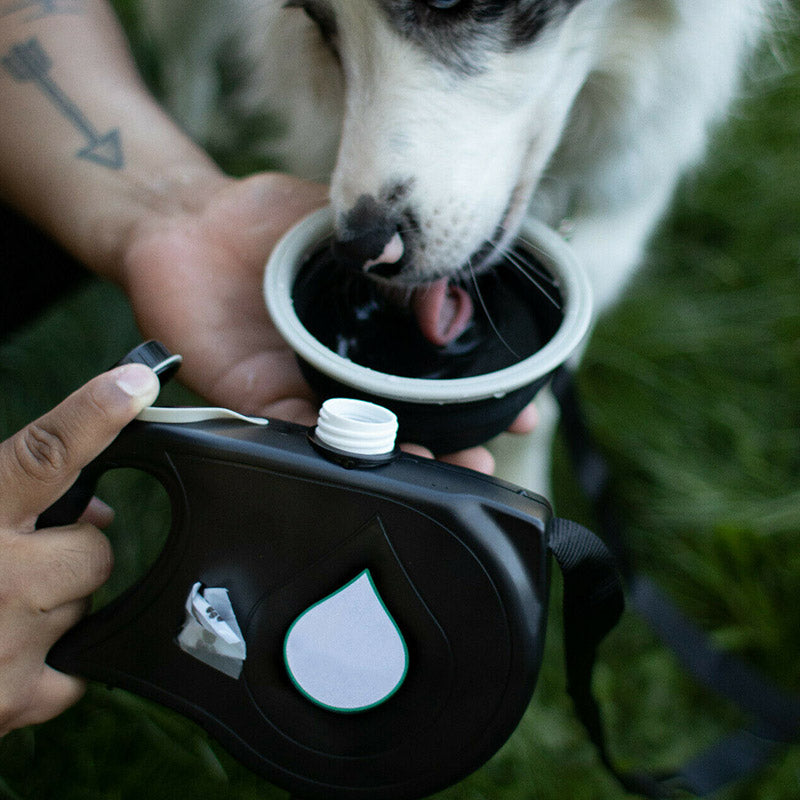 Multifunctional Pet Leash.