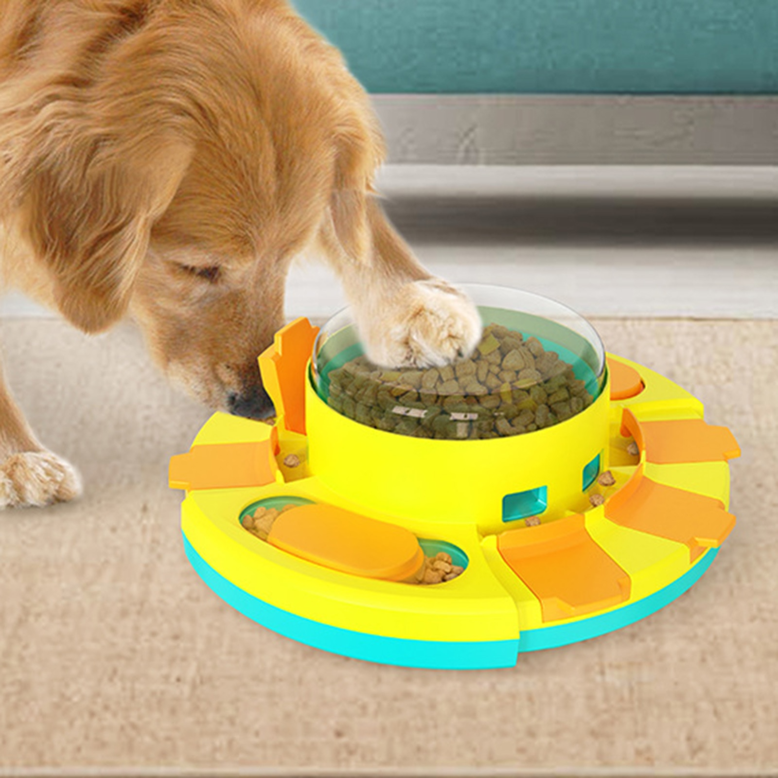 Dog Puzzle Feeder.