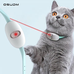 Automatic Cat Laser Toy.