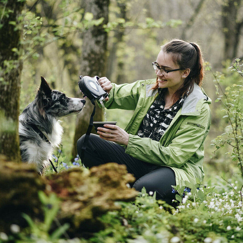 Multifunctional Pet Leash.