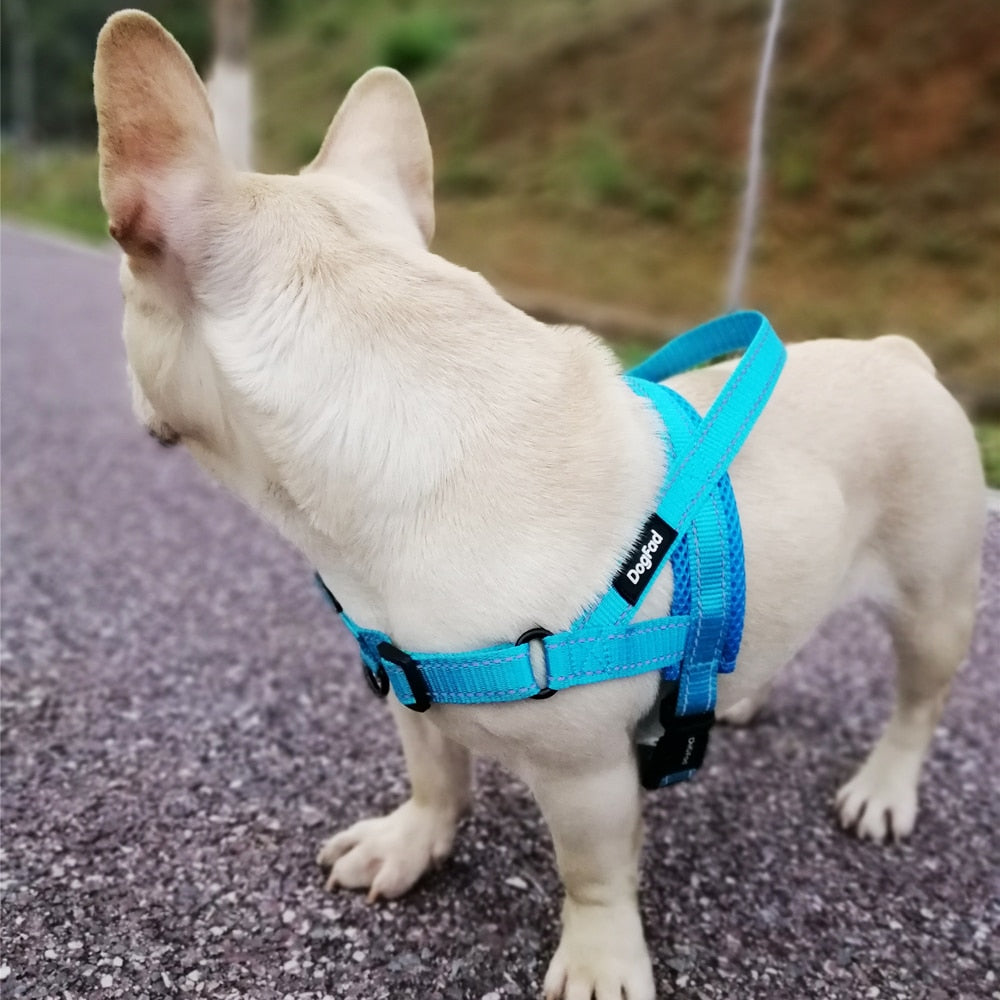 Adjustable Dog Harness.