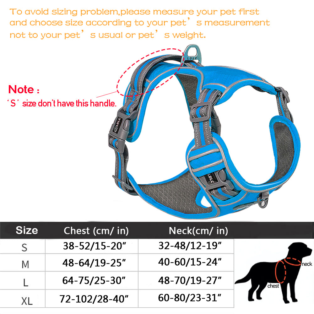 Dog Harness.