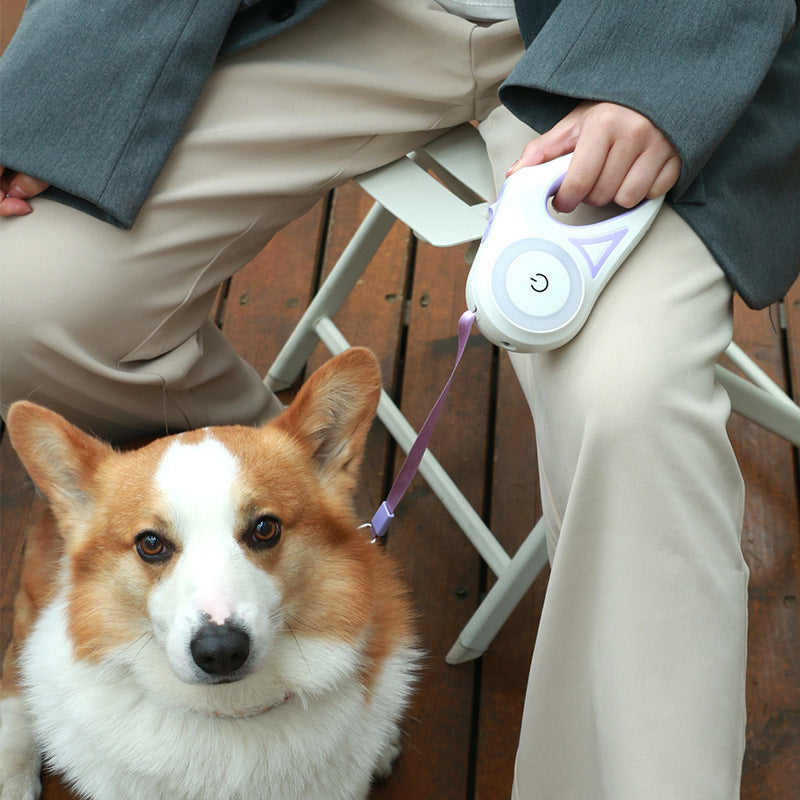 Led Lights Dog Leash.