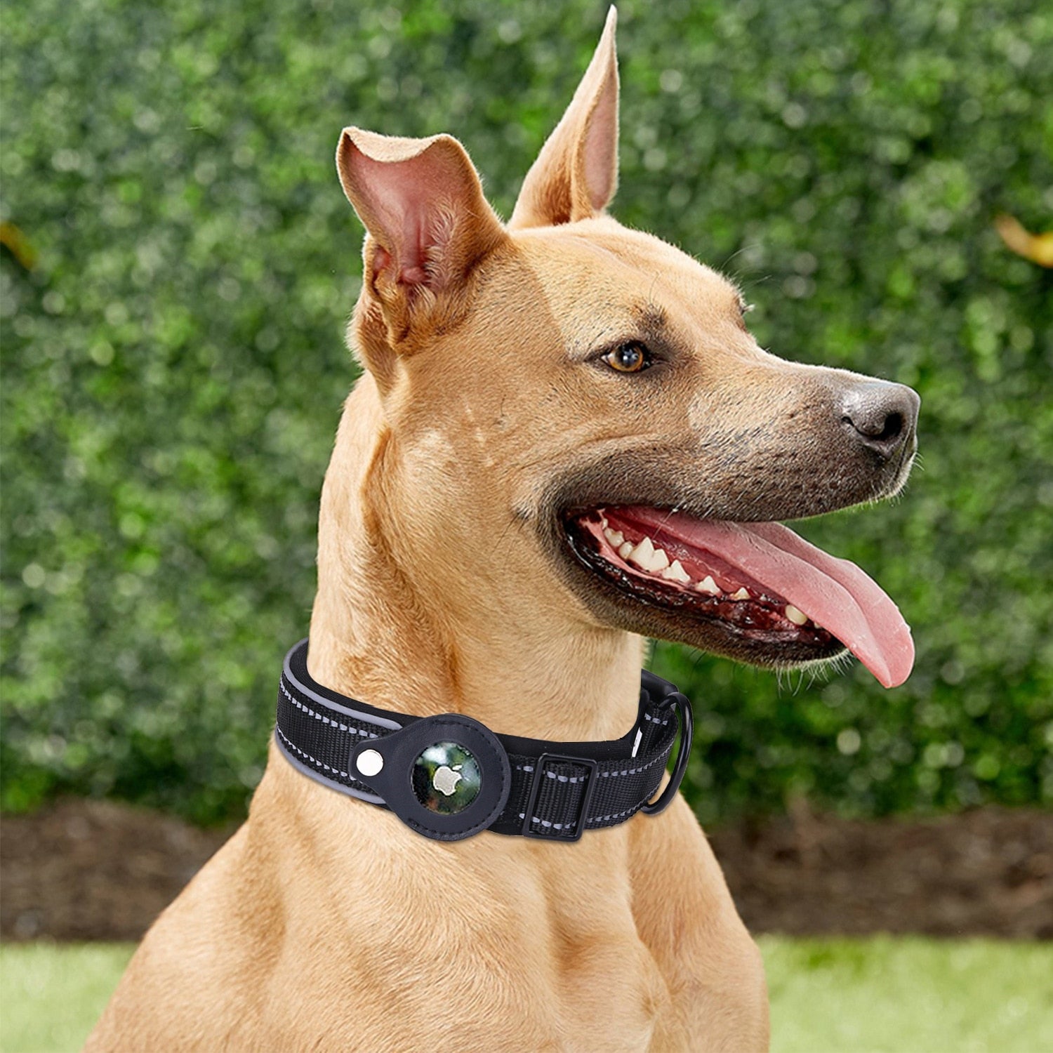 Airtag Dog Collar.