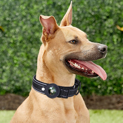 Airtag Dog Collar.