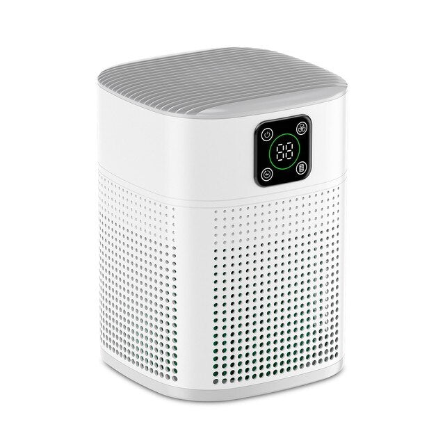 Portable Air Purifier.