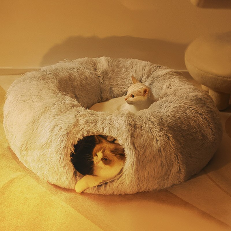 Cat Bed.