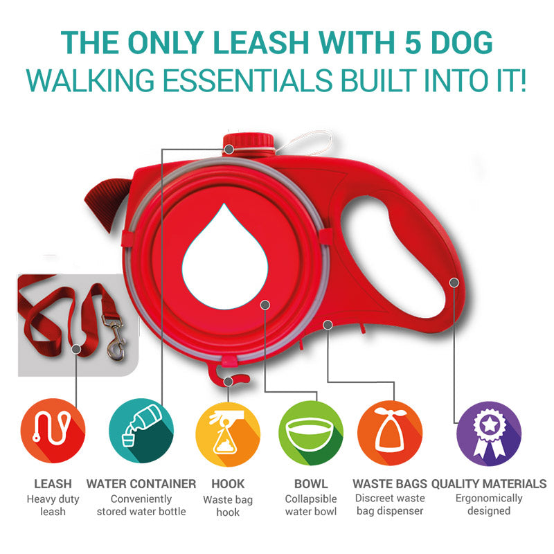 Multifunctional Pet Leash.