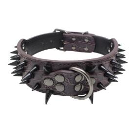 Spiked Studded Leather Collars.