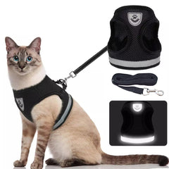 Cozy Cat Harness.